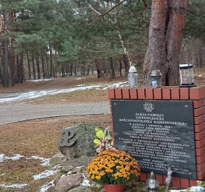 Średnia pętla kampinowska - Warszawa - 4