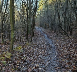 Trasa Żelatowa - Konrad - 5