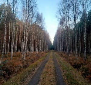 Rundka wokol poludnia Stalowej Woli - Stalowa Wola - 5