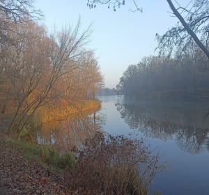 Dookoła Stawu Młyńskiego - Poznań - 5