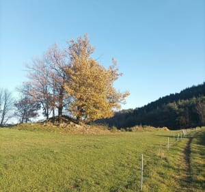Joli tour au dessus de Chalencon par l'oppidum - Barbara - 4