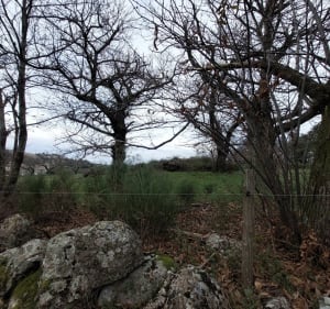 Sur le chemin des Mégalithes - Champis - 4
