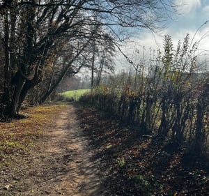 Boucle autour de Grézieu - Grézieu-la-Varenne - 3