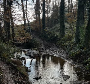 Boucle autour de Grézieu - Grézieu-la-Varenne - 4
