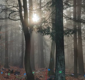 Sw Katarzyna - Sw Krzyż - Nowa Słupia - Święta Katarzyna - 5