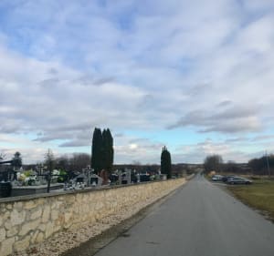 Spacer wśród zielonych terenów Oleśnicy - Oleśnica - 4