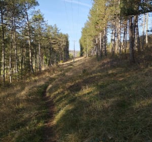 St Astier par les chemins - Saint-Astier - 3