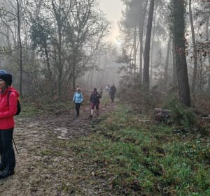 Marche Nordique, Martignas secteur Moulin Bidon - Marc - 3