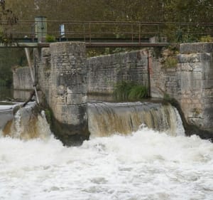 Le canal de la Dive entre Epieds et la Motte Bourbon - Épieds - 4