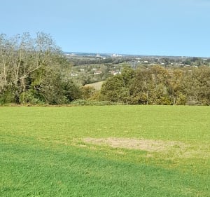 Villefranque et forêt depuis Ustaritz - Ustaritz - 4