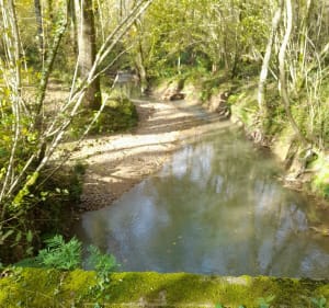Villefranque et forêt depuis Ustaritz - Ustaritz - 5