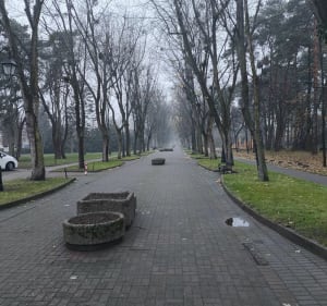Spacer po Parku Sosnowym w Ciechocinku - Ciechocinek - 3