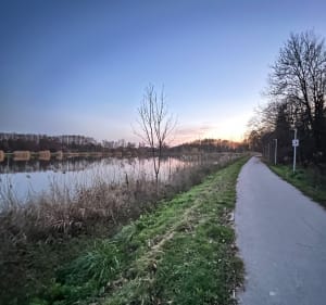 Marsz/bieg wokół Zalewu w Zamościu - Zamość - 3