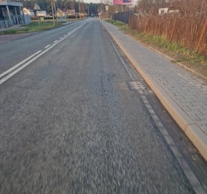 Gravelowa pętla przez Łosiowe bagna, Las Bemowski, Kampinos - Kwirynów - 4