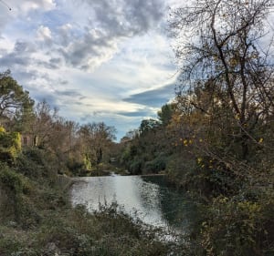 Balade au nord de Montpellier - Montpellier - 3