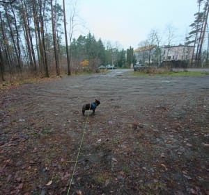 Parking k/Szpitala - Spacer przy poligonie - Nowa Dęba - 2
