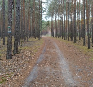 7,7 km Szlak pieszo-rowerowy wokół jeziora Chełmno - Lubsko - 4