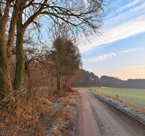 Od leśniczówki do pasa startowego i pamiątkowego głazu. - Zielonowo - 5