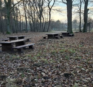 Leśne Odkrywanie: Spacer pełen natury i magii pór roku - Tychy - 4