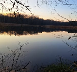 Leśne Odkrywanie: Spacer pełen natury i magii pór roku - Tychy - 5