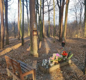 Spacerowa trasa po Starym Gaju w Lublinie - Lublin - 5