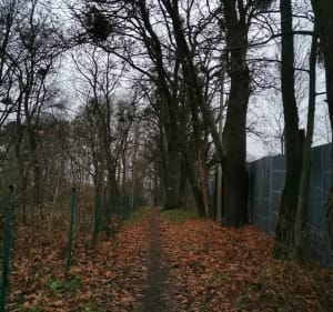 Pieszo wokół zamku w Krupym - Krupe - 4