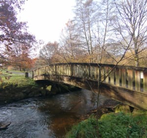 Landouge et le sentier des 3 ruisseaux - Limoges - 5