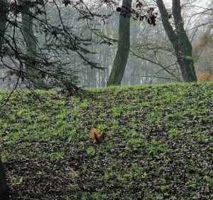 Park Lotników - Kraków - 5