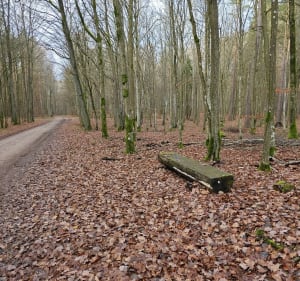 Niedzielny spacer - Staszkowo - 3