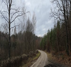 Niedzielny spacer - Staszkowo - 5