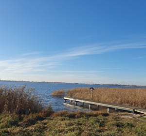 Na wale wzdłuż jeziora Dąbie - Szczecin - 3