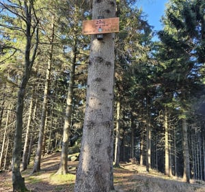 Przełęcz Jugowska- Rymarz- Słoneczna- Kalenica- Zygmuntówka - Jugów - 5