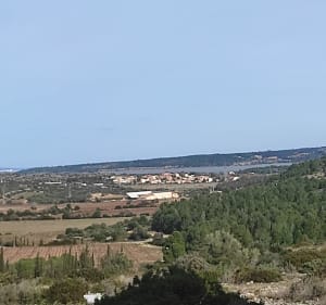 Les Capitelles à Fitou - Fitou - 5