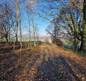 Spacer wśród Natury i Historii - Piekary Śląskie - 3