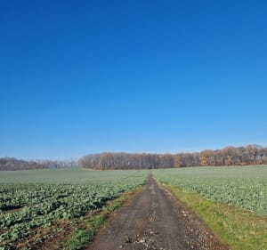 Spacer wśród Natury i Historii - Piekary Śląskie - 4