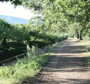 Le Canal d'Ille-sur-Têt - Ille-sur-Têt - 4