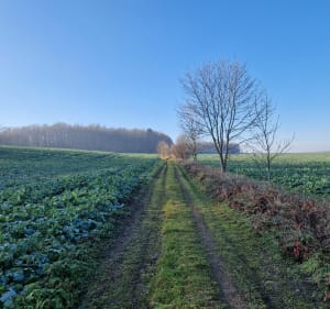 Spacer wśród Natury i Historii - Piekary Śląskie - 5