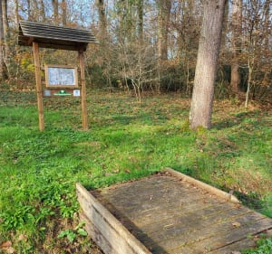 Dans les bois de Berdoues - Berdoues - 3