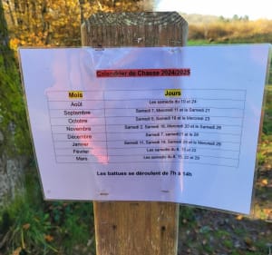 Dans les bois de Berdoues - Berdoues - 4