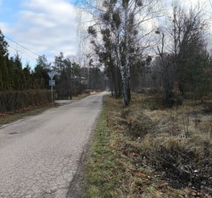 Spacer na Krynoczkę leśnymi ścieżkami - Hajnówka - 3