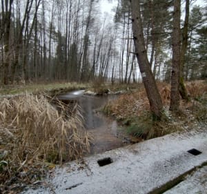 Śladami rzeki Gorajka - Kajetanówka - 3