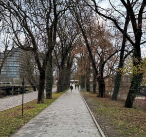 Bydgoszcz - spacerkiem wzdłuż Brdy - Bydgoszcz - 4