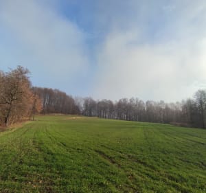 Góra Bartoska - Młoszowa - 5
