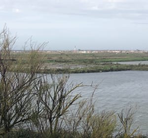 Ars-en-Ré entre les marais, le Martray et les 3 moulins - Ars-en-Ré - 5