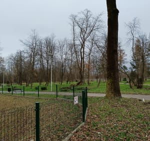Park Dobczyce - Dobczyce - 3
