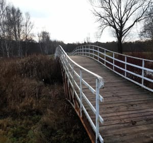 4349 Z Niemcza do Fordonu - Bydgoszcz - 4