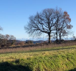 Vue sur les Pyrénées, par le Bousquet - Miélan - 3