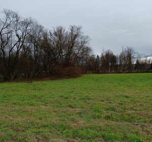 Park Dobczyce - Dobczyce - 4