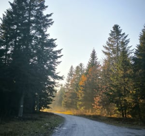 Hubertus pomnik - Borkowice - 3