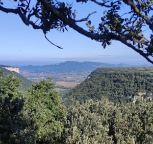 Laudun, Camp de César, plateau de Lacau - Laudun-l'Ardoise - 3